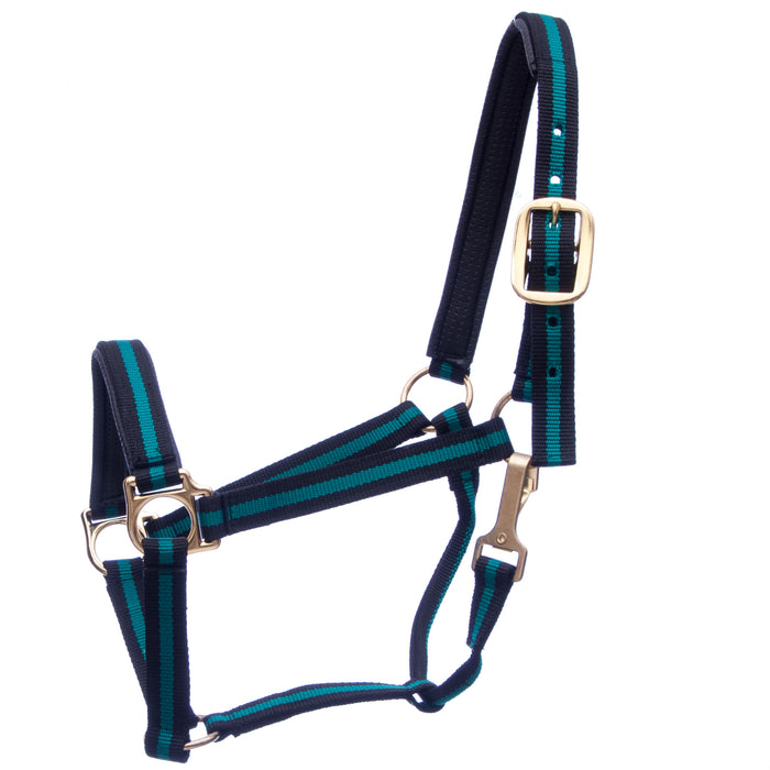 Padded Horse Halter with Snap by Jeffers - Blue/Black  