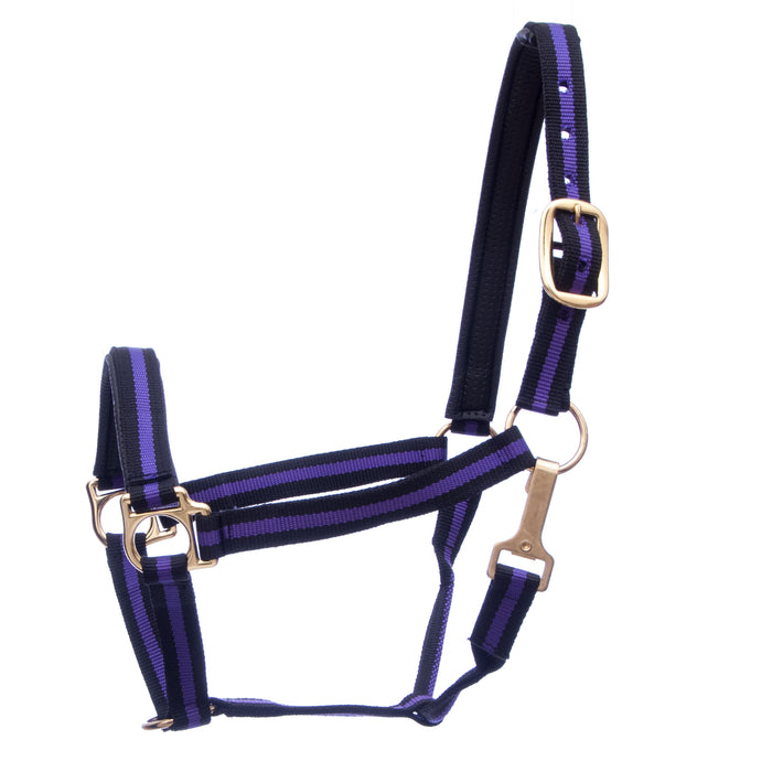 Padded Horse Halter with Snap by Jeffers - Purple/Black  