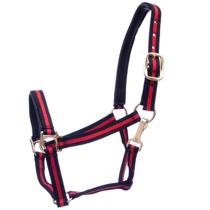 Padded Horse Halter with Snap by Jeffers - Black/Red  