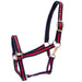 Padded Horse Halter with Snap by Jeffers - Black/Red  