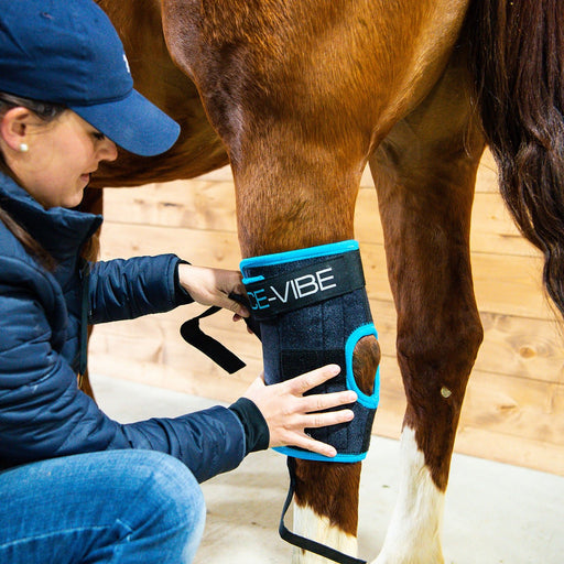 Ice - Vibe Hock Wrap, Black/Aqua - Jeffers - Horse Supplies > Horse Boots & Leg Wraps