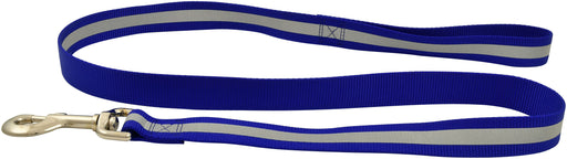 Jeffers Reflective Leash, 4 ft L x  1 in W - Blue  