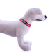 Jeffers 1"W Adjustable Reflective Collar (16"-26"L) - Red  