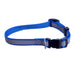 Jeffers 1"W Adjustable Reflective Collar (16"-26"L) - Blue  