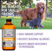 Immune Support - Jeffers - Animal Health & Wellness > Vitamins & Supplements