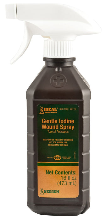 Iodine Wound Spray - Jeffers - Animal Health & Wellness > Skin & Coat Care