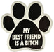 PAW Magnets, each - My Best Friend Is  