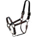 Lettia Breakaway Halter - Leopard  