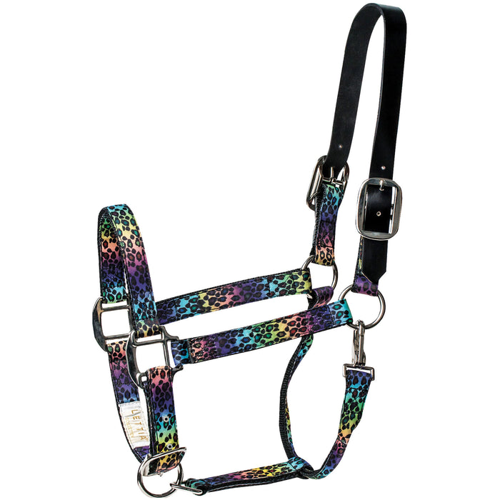 Lettia Breakaway Halter - Rainbow Leopard  