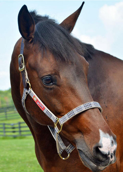 5/A Baker Plaid Breakaway Halter - Full/Horse  