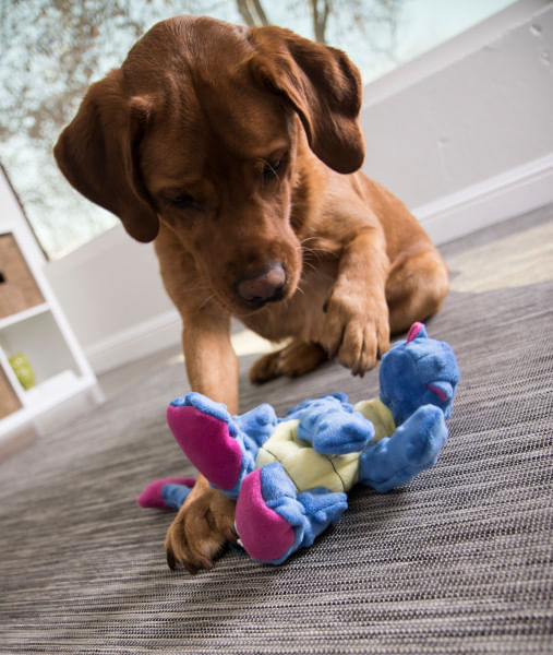 Plush Dragon Dog Toy - Periwinkle Large 