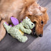 Plush Dragon Dog Toy - Lime Large 