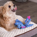 Plush Dragon Dog Toy - Periwinkle Small 