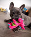 Plush Dragon Dog Toy - Pink Small 