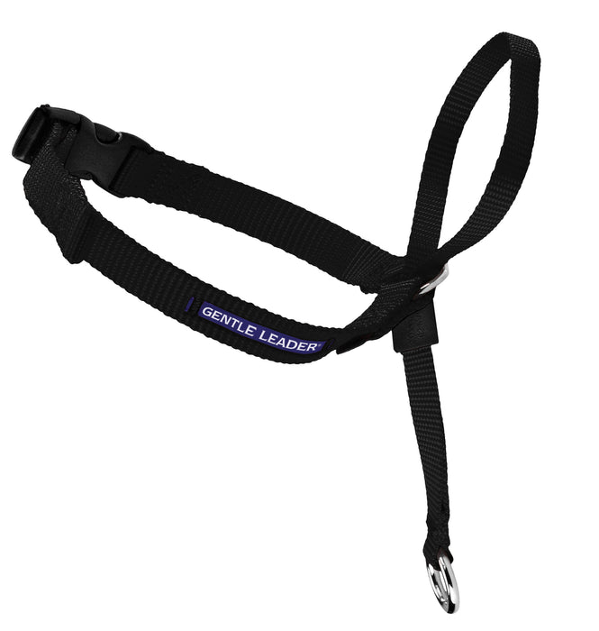 Gentle Leader Headcollar, Medium (25-60 lb) - Black  