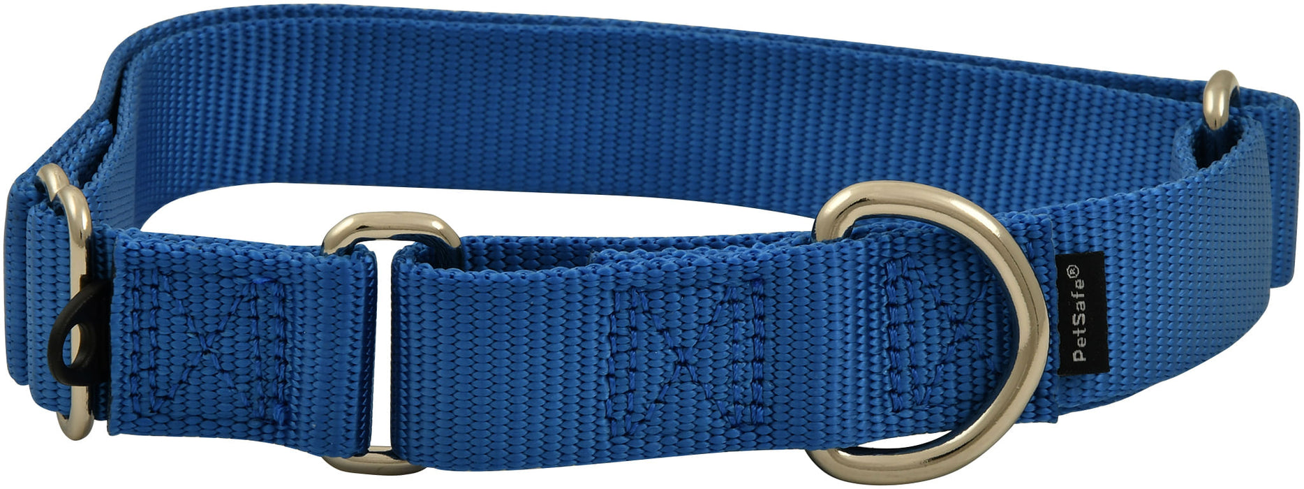 The Premier Dog Collar, 3/4" x 8" - 12" - Royal Blue  