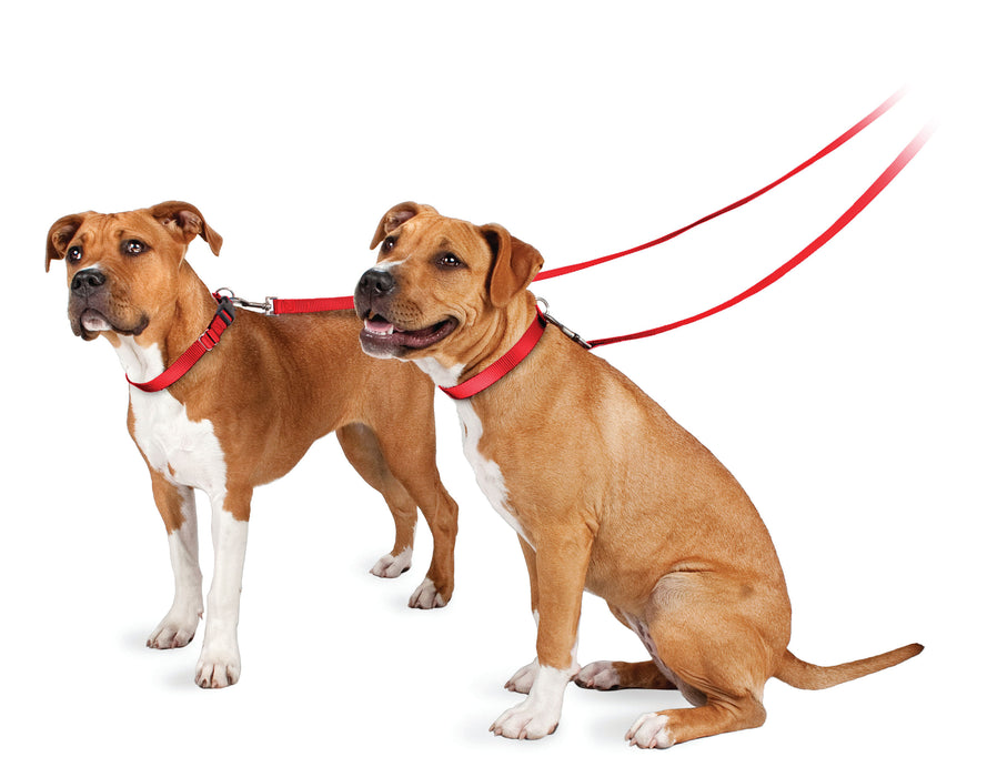 The Premier Leash, 3/4" x 6 ft - Red  