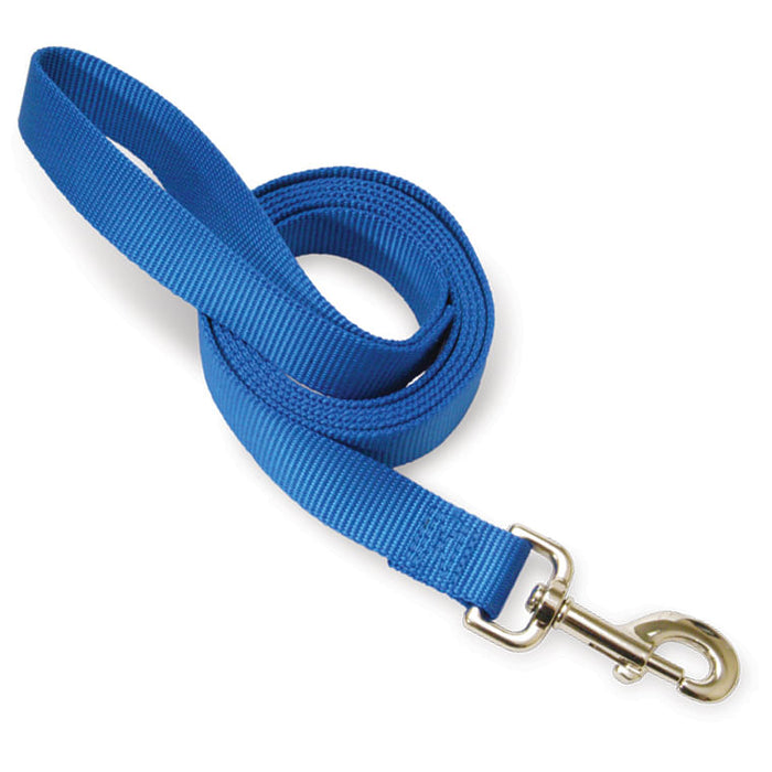 The Premier Leash, 1" x 6 ft - Royal Blue  