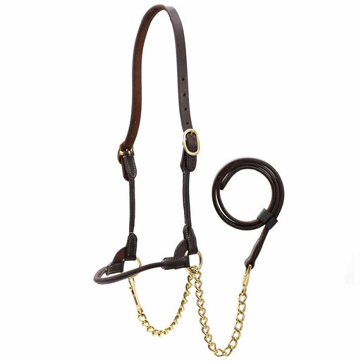 Jeffers Harness Leather Show Halter Color Havana