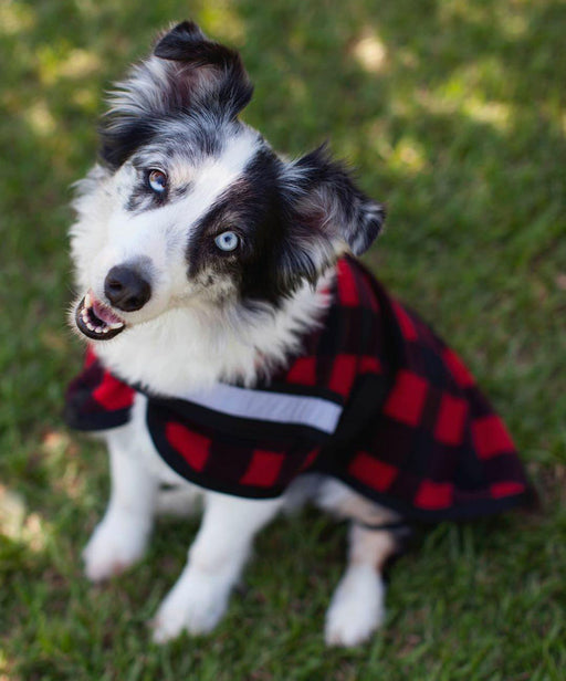 Expression "Buffalo Check" Fleece Dog Rug - 24 in  