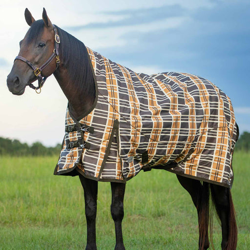 Brown & Cream Plaid