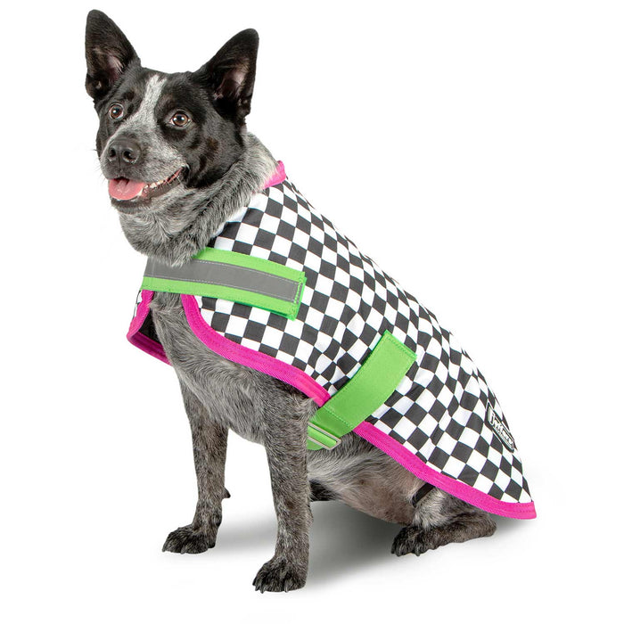 Jeffers Expression Dog Coat, Skater Pup