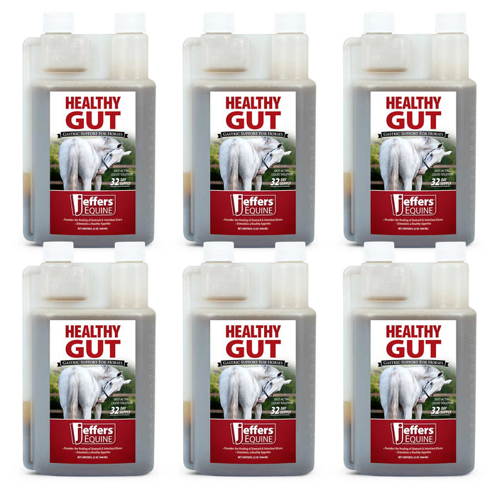 Jeffers Healthy Gut Gastric Support Liquid Supplement for Horses