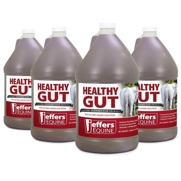 Jeffers Healthy Gut Gastric Support Liquid Supplement for Horses