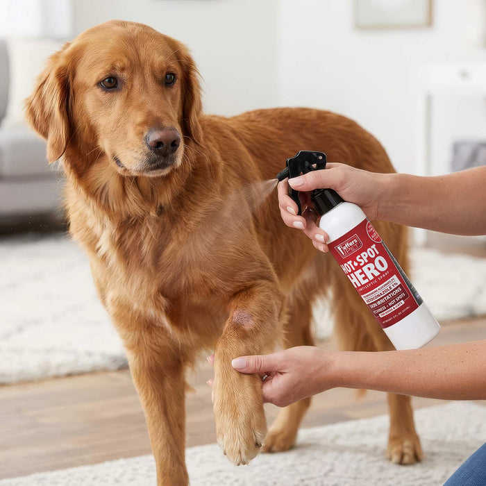 Jeffers Hot Spot Hero Antiseptic Spray, for Dogs and Cats, 8oz Size 8 ounce