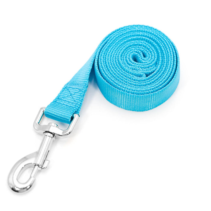 Jeffers 1 - Ply Web Nylon Dog Leashes - SS1G - 5/8"W x 6'L - Turquoise - 25