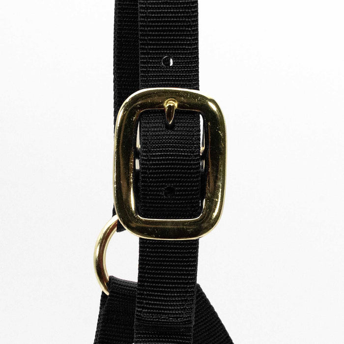 Jeffers Adjustable Halter with Throat Snap - SSMA - Yearling - Black - 2