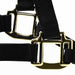 Jeffers Adjustable Halter with Throat Snap - SSMA - Yearling - Black - 4
