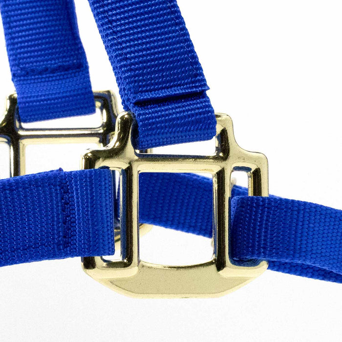 Jeffers Adjustable Halter with Throat Snap - SSMC - Yearling - Royal Blue - 12