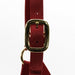 Jeffers Adjustable Halter with Throat Snap - SSMD - Yearling - Red - 14