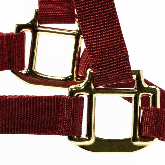 Jeffers Adjustable Halter with Throat Snap - SSMD - Yearling - Red - 16