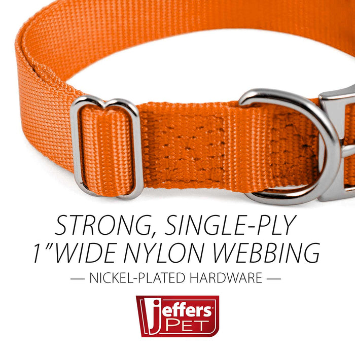 Jeffers Adjustable Nylon Dog Collar, 1"W x 14" - 24"L - SS9A - Orange - 17