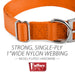 Jeffers Adjustable Nylon Dog Collar, 1"W x 14" - 24"L - SS9A - Orange - 17