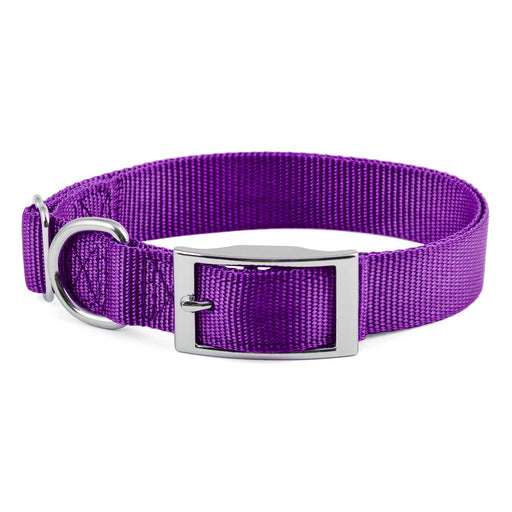 Jeffers Adjustable Nylon Dog Collar, 1"W x 14" - 24"L - SSG6 - Purple - 13