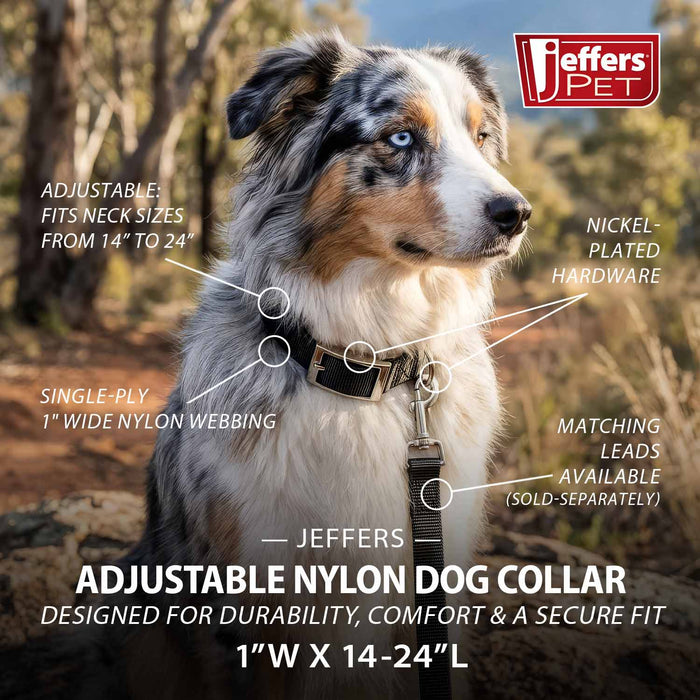 Jeffers Adjustable Nylon Dog Collar, 1"W x 14"-24"L - SSG7 - Black - 1"W x 14"-24"L - 9