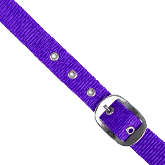 Jeffers Adjustable Nylon Full Size Horse Halter - GAG1W2 - Purple - 17