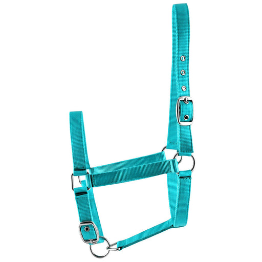 Jeffers Adjustable Nylon Full Size Horse Halter - GAG1W3 - Turquoise - 2