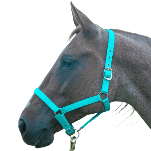 Jeffers Adjustable Nylon Full Size Horse Halter - GAGDL - Black - 1