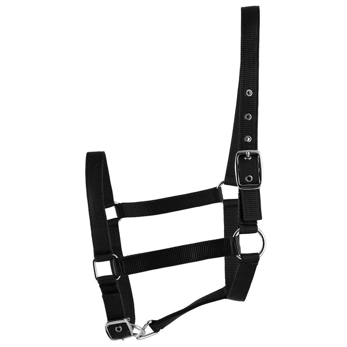 Jeffers Adjustable Nylon Full Size Horse Halter - GAGDL - Black - 3