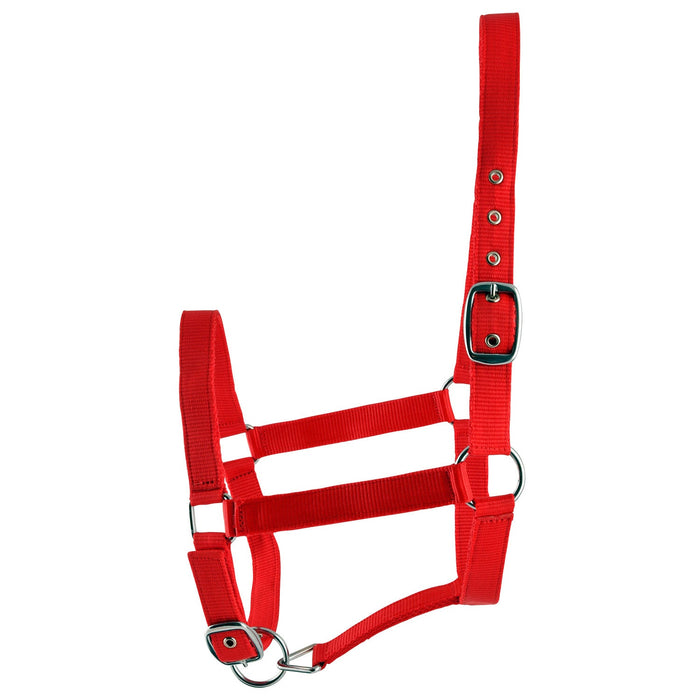 Jeffers Adjustable Nylon Full Size Horse Halter - GAGDM - Red - 7