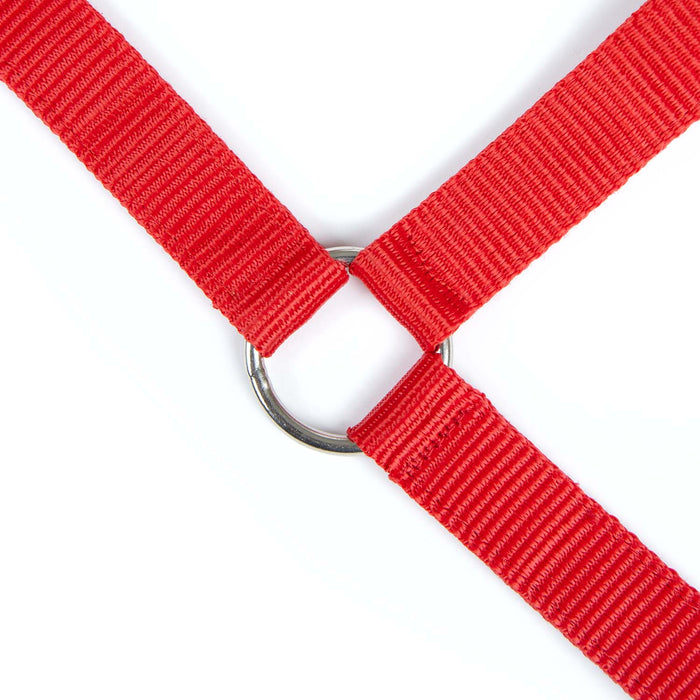 Jeffers Adjustable Nylon Full Size Horse Halter - GAGDM - Red - 10