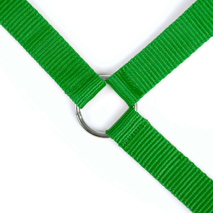 Jeffers Adjustable Nylon Full Size Horse Halter - GAGDN - Kelly Green - 22