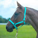 Jeffers Adjustable Nylon Full Size Horse Halter - GAGDN - Kelly Green - 24