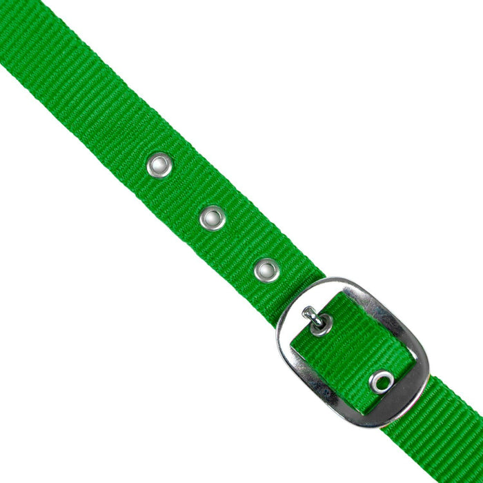 Jeffers Adjustable Nylon Full Size Horse Halter - GAGDN - Kelly Green - 21