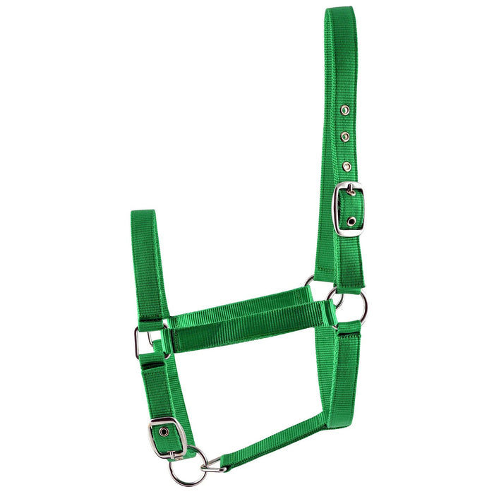 Jeffers Adjustable Nylon Full Size Horse Halter - GAGDN - Kelly Green - 19