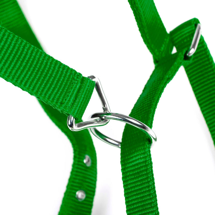 Jeffers Adjustable Nylon Full Size Horse Halter - GAGDN - Kelly Green - 20